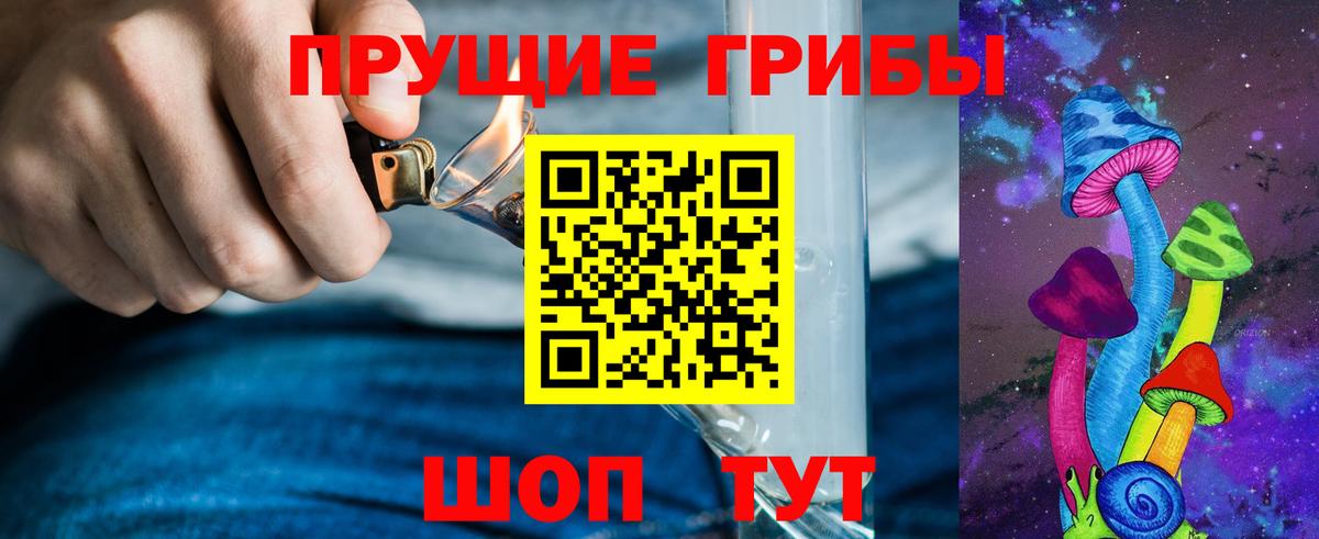 Отрадный  Галлюциногенные грибы Psilocybe  Вход с VPN 